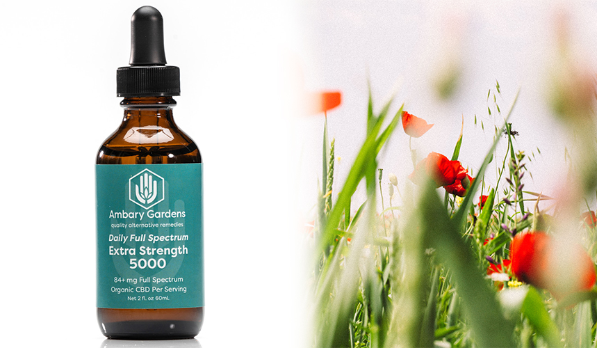CBD for Pain Relief: How to Manage It & Best Products