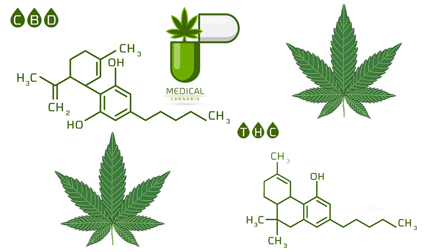 CBD: The Ultimate Guide - What it is, How it Works, and How it Can Help You