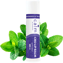 Calm By Wellness CBD Lip Balm Product Review