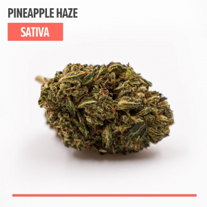 Vida Optima Pineapple Haze Delta 8 THC Flower Product Review (2021): Sativa